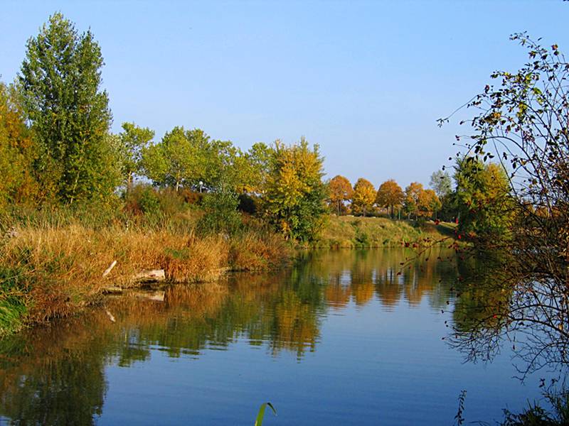 Donauinsel im Herbst