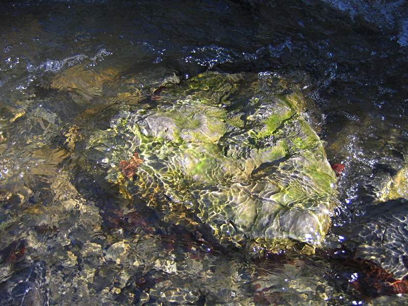 Stein im Wasser